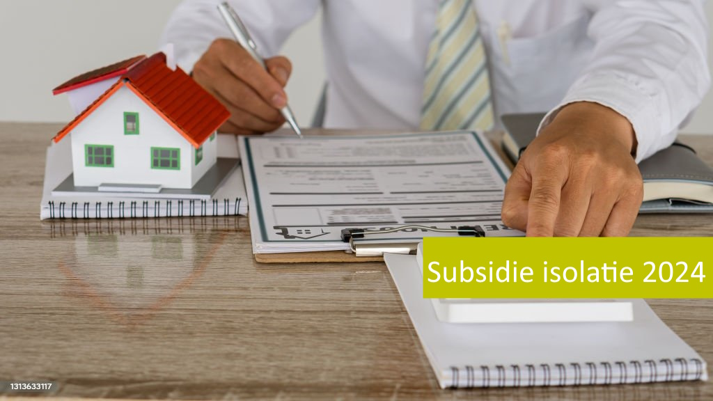 Overheidsprogramma's en subsidies 